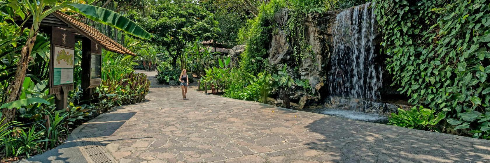 Botanische Gärten von Singapur